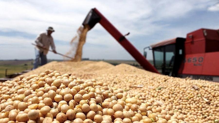 El Banco Central espera sumar ingresos con incentivos para la exportacin de soja